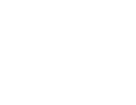iron tv pro logo white